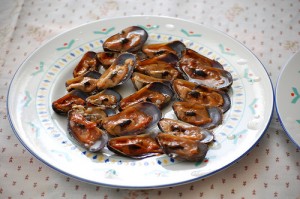 Bearded horse mussel by Vito Palmi
