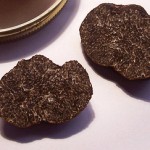 Black truffle (Tuber melanosporum)