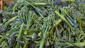 Broccolini by Ethan H.