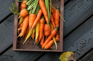 Carrots by Susy Morris