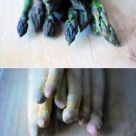 Green and white asparagus by Yasmina Haryono