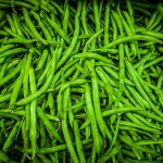 Green Beans / French bean / Haricot vert / String beans (Fagiolino / Cornetto / Fagiolo mangiatutto) (Phaseolus vulgaris)