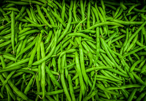 Green Beans / French bean / Haricot vert / String beans (Fagiolino / Cornetto / Fagiolo mangiatutto) (Phaseolus vulgaris)