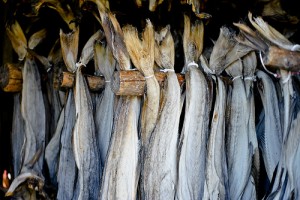 Stockfish / Dried cod (Stoccafisso / Baccalà)