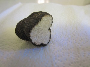 Summer black truffle (Tuber aestivum) by Dennis M