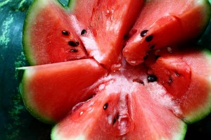Watermelon (Anguria / Cocomero) (Citrullus lanatus)