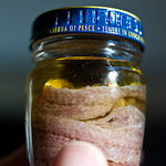 Anchovies in Oil (Photographed by Stijn)