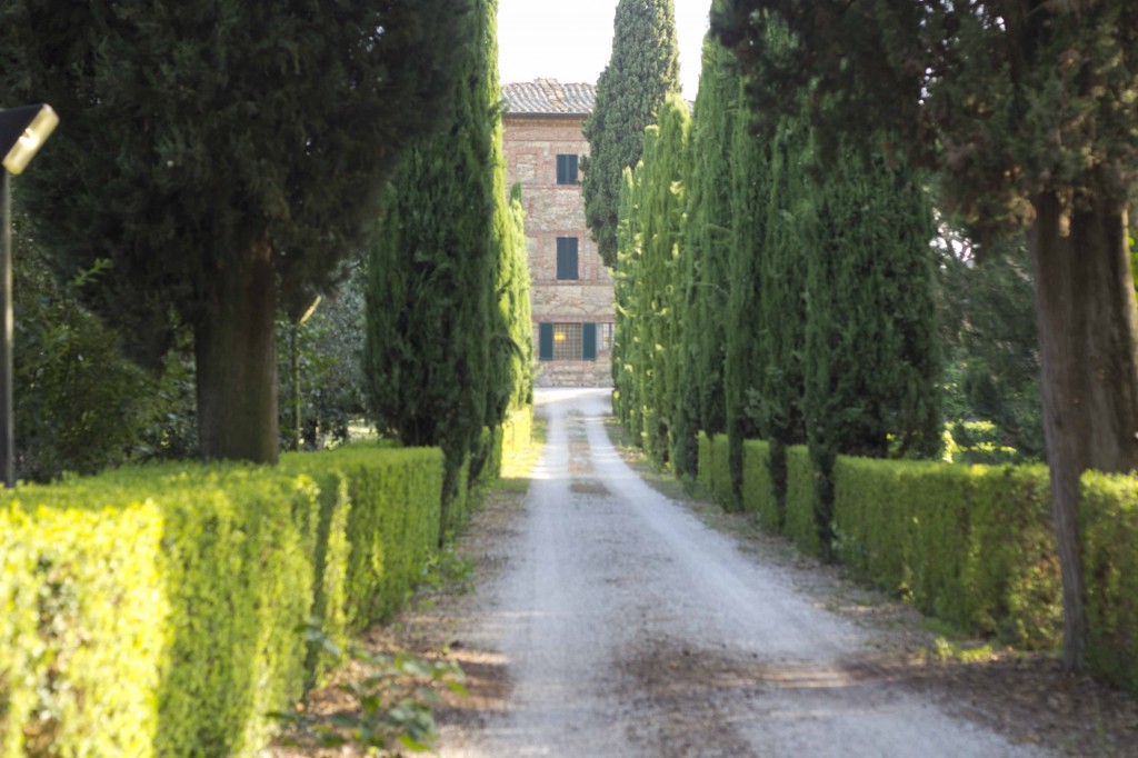 Driveway to the villa