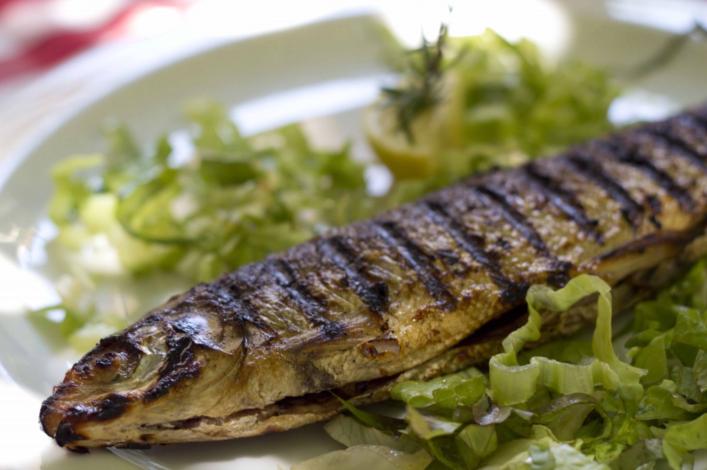 Grilled European whitefish/Coregone alla griglia