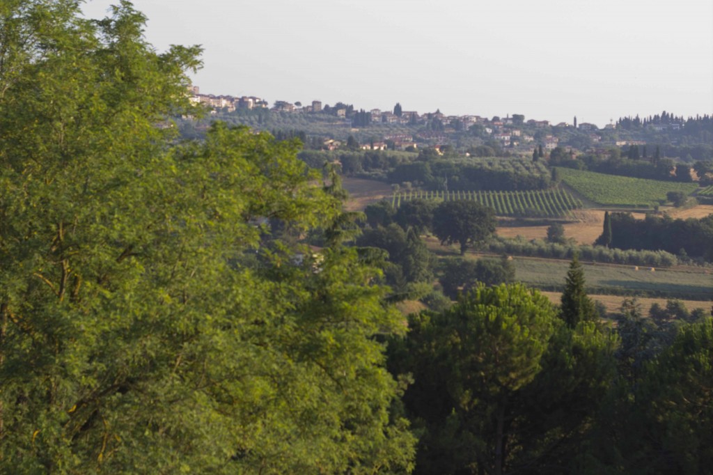 Our view of the countryside outside Lucignano