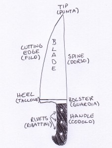 knife anatomy (3)