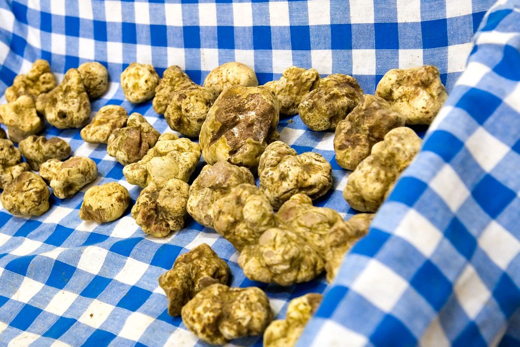 White truffles by Fulminating