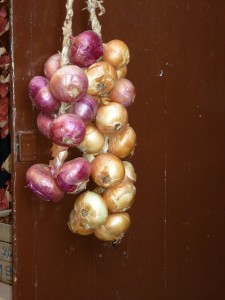 Baby onion / Pearl onion / Cipolline (Cipolline / Cipollette)