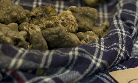 White truffles by Alessandro Giannini