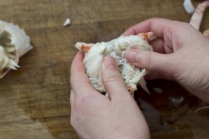 meimanrensheng.com how to dress a crab 7 crack the body in half