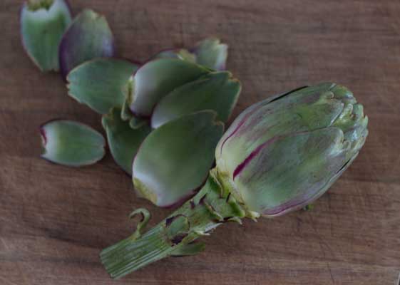 how to prepare artichokes-3