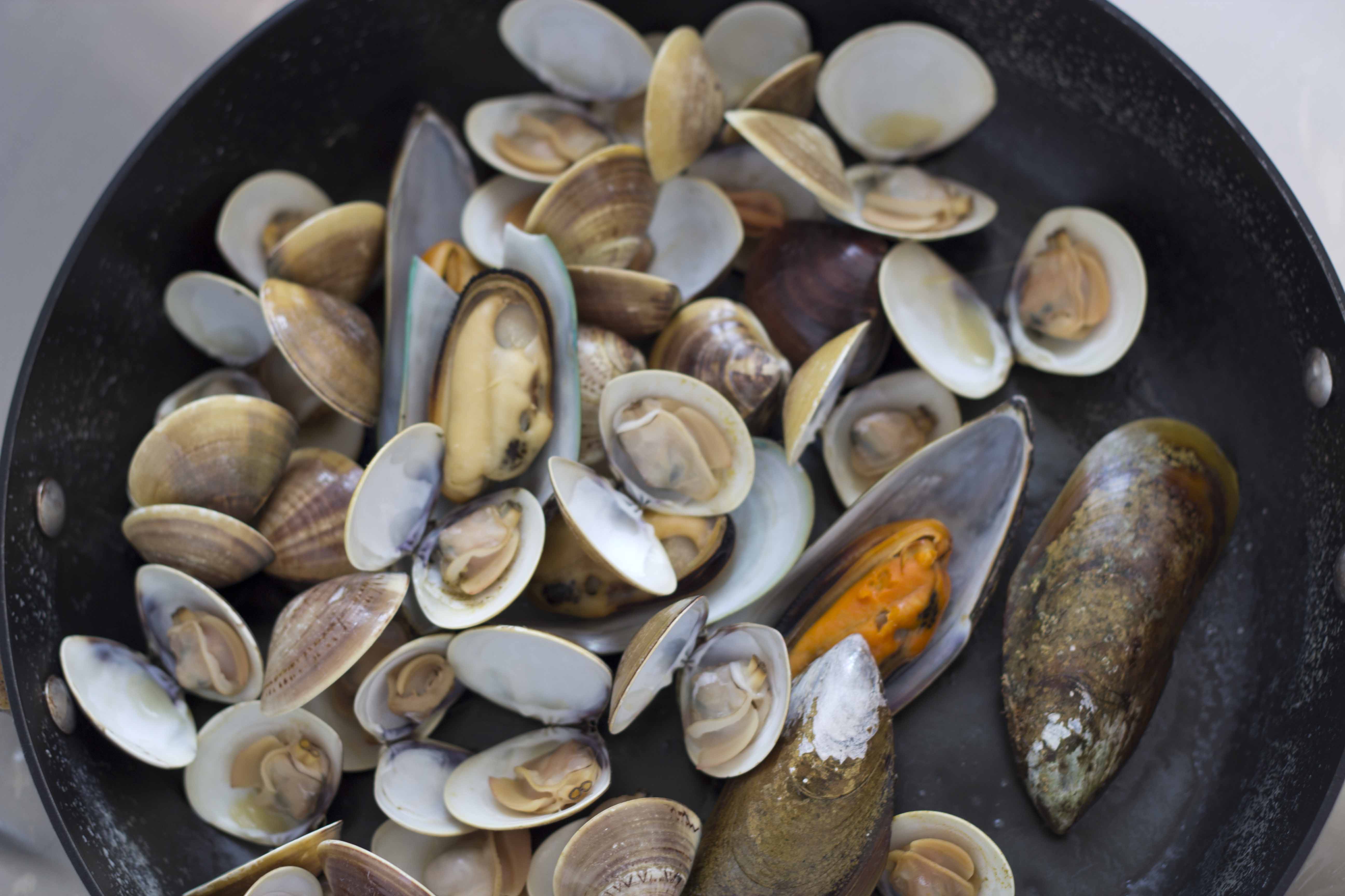 Spaghetti ai frutti di mare / Spaghetti allo scoglio (seafood spaghetti) – Living a Life in Colour