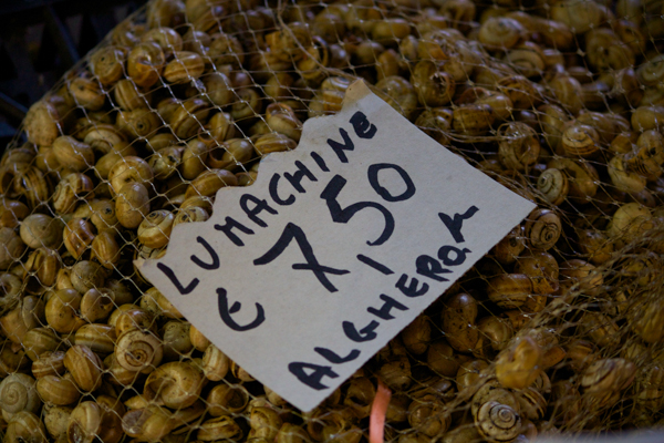 Lumachine (snails)