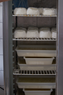 Ricotta and sa vuhre being refrigerated
