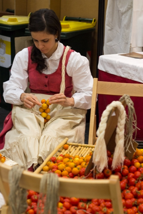 Puglian girl tying bunches of Torre Canne Regina tomatoes