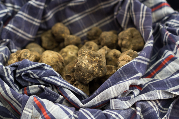 White truffles