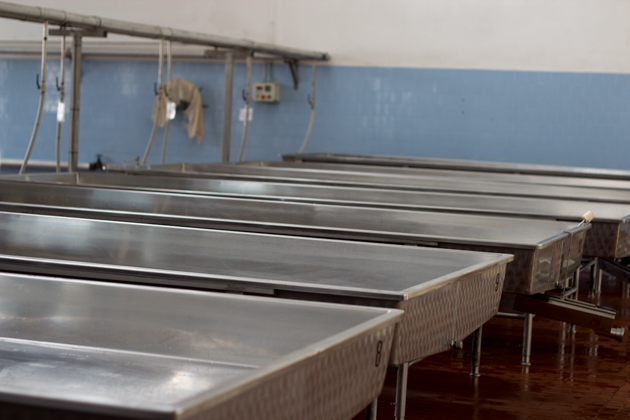 The tables the milk sits in during the night to separate the cream