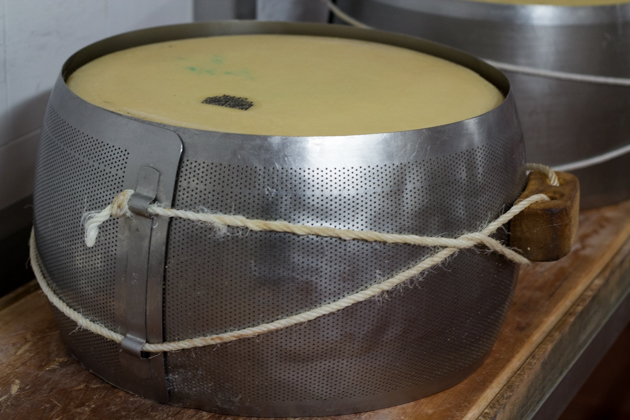 The press to imprint markings into the cheese