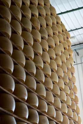 The wall of cheese