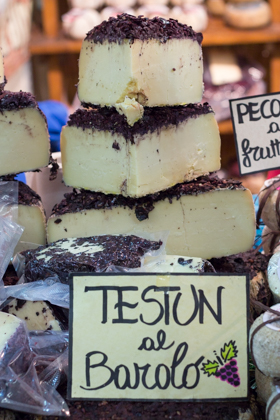 Testun al Barolo (an ewe's milk cheese made with a bit of cow's milk aged in caves or cellars with leftover grape pulp from making Barolo wine)