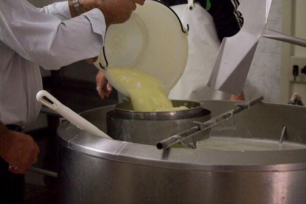 Adding fresh milk to make ricotta