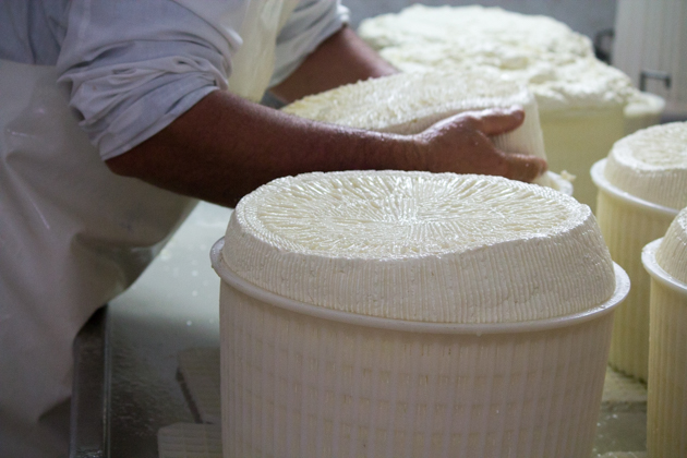 Turning the curd in the basket