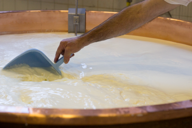 Stirring the curds