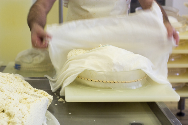 Wrapping the curd in cheesecloth