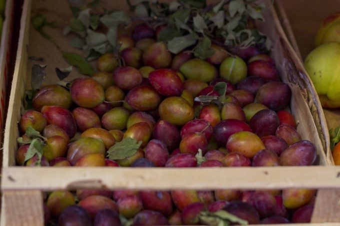 meimanrensheng-com-plums