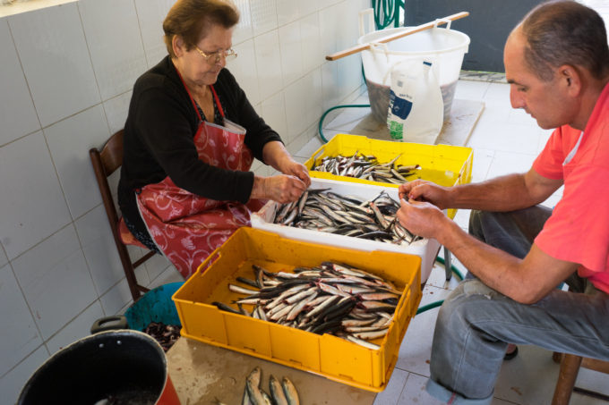Cleaning anchovies at Fanfulla Rosa