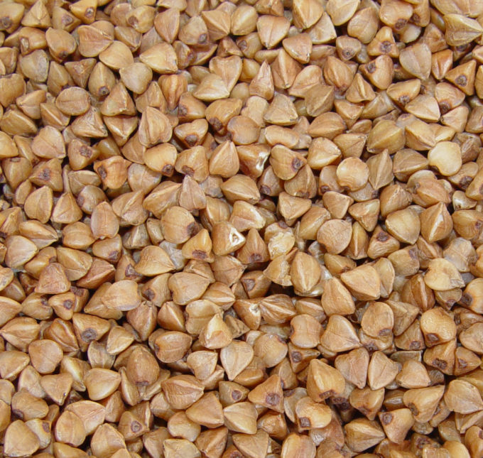 Buckwheat seeds by Mariluna