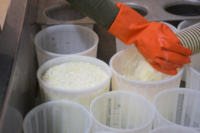The curds being added to the perforated baskets to make ricotta