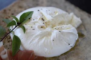 Burrata by Cathy Arkle