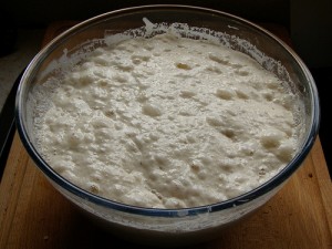 Sourdough starter (Lievito natural / Lievito madre / Crescente / Criscenti / Criscolo / Pasta acida) 