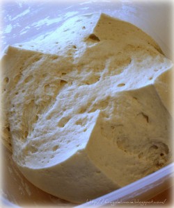 Starter / Leavened dough (Biga) 