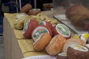 Variety of pecorino cheeses