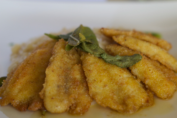 risotto con i filetti di pesce persico (risotto with breaded perch fillets with sage butter sauce)