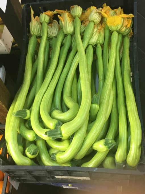 Trombette courgettes/zucchini in Liguria