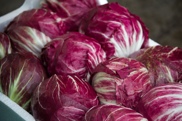 Standard radicchio